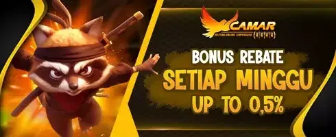 Cashback Harian Hingga 0.5% untuk Slot promotion banner